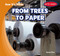 From Trees to Paper by Leroy Dax, 9781482481754