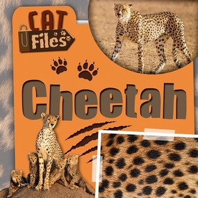 Cheetah by Bethany Latham, 9781534569560
