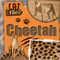 Cheetah by Bethany Latham, 9781534569560