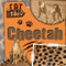 Cheetah by Bethany Latham, 9781534569577