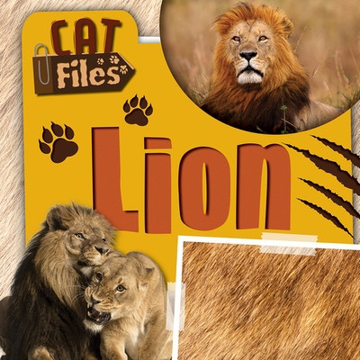 Lion by Bethany Latham, 9781534569607