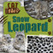 Snow Leopard by Bethany Latham, 9781534569638