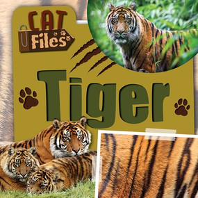 Tiger by Bethany Latham, 9781534569652