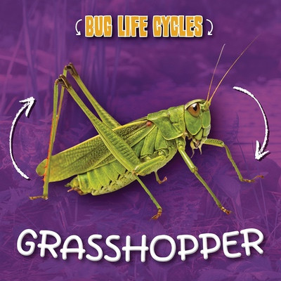 Grasshopper by Rod Barkman, 9781534571037