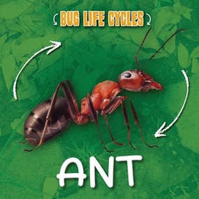 Ant by Rod Barkman, 9781534571099