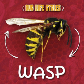 Wasp by Rod Barkman, 9781534571129