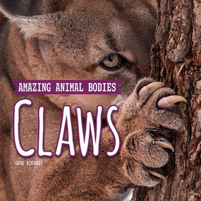 Claws by Anne Accardi, 9781978579521
