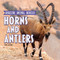 Horns and Antlers by Anne Accardi, 9781978579545