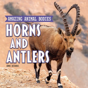 Horns and Antlers by Anne Accardi, 9781978579552