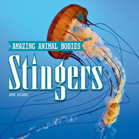 Stingers by Anne Accardi, 9781978579576