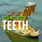 Teeth by Anne Accardi, 9781978579637