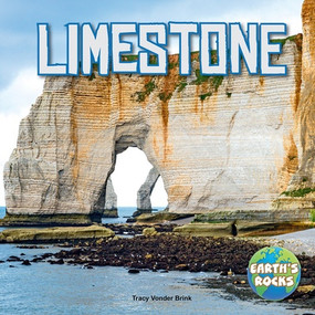 Limestone by Tracy Vonder Brink, 9781978580091
