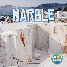 Marble by Tracy Vonder Brink, 9781978580121