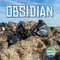 Obsidian by Tracy Vonder Brink, 9781978580145