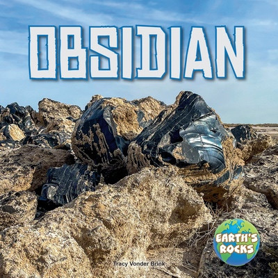 Obsidian by Tracy Vonder Brink, 9781978580152