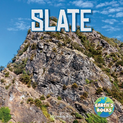 Slate by Tracy Vonder Brink, 9781978580213