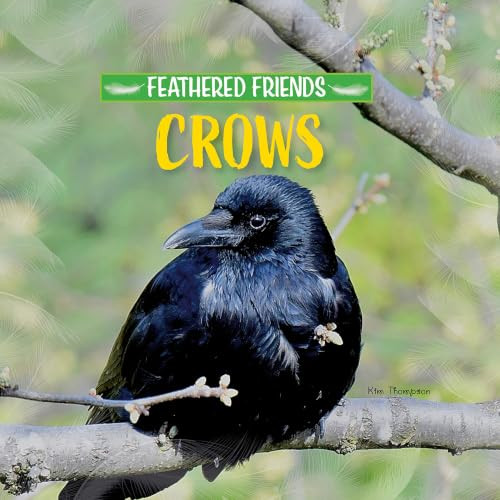 Crows by Kim Thompson, 9781978580428