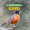 Robins by Kim Thompson, 9781978580541