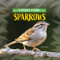 Sparrows by Kim Thompson, 9781978580572