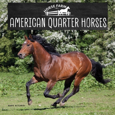 American Quarter Horses by Anne Accardi, 9781978580770