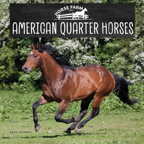 American Quarter Horses by Anne Accardi, 9781978580787