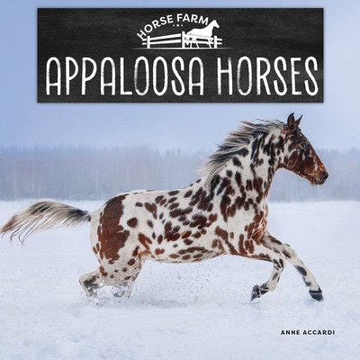 Appaloosa Horses by Anne Accardi, 9781978580800
