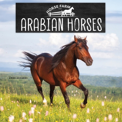 Arabian Horses by Anne Accardi, 9781978580831