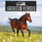 Arabian Horses by Anne Accardi, 9781978580831