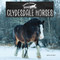 Clydesdale Horses by Anne Accardi, 9781978580862