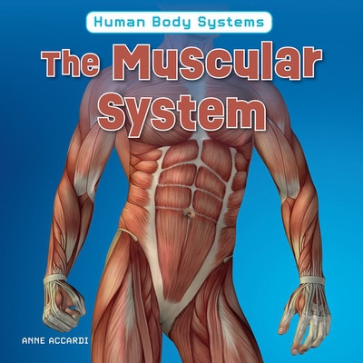 The Muscular System by Anne Accardi, 9781978581012