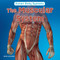 The Muscular System by Anne Accardi, 9781978581012
