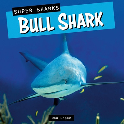 Bull Shark by Dan Lopez, 9781978581432