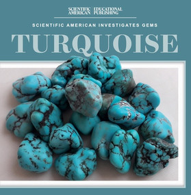 Turquoise by Madeleine Fortescue, 9781538314326