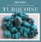Turquoise by Madeleine Fortescue, 9781538314326