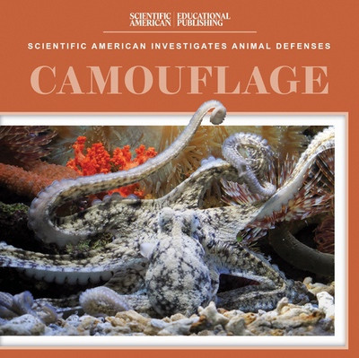 Camouflage by Rosie Banks, 9781538314814