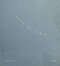 Archipelago by Yolanda del Amo, Yolanda del Amo, Jean Dykstra, Vicki Goldberg, 9783969002285