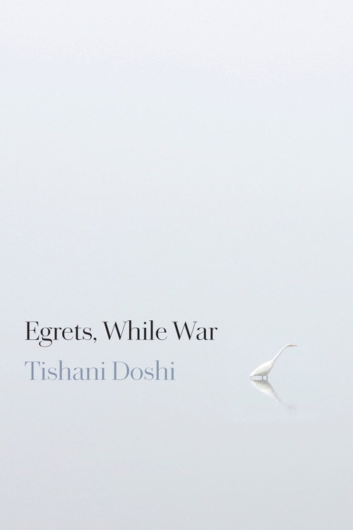 Egrets, While War by Tishani Doshi, 9781556597350