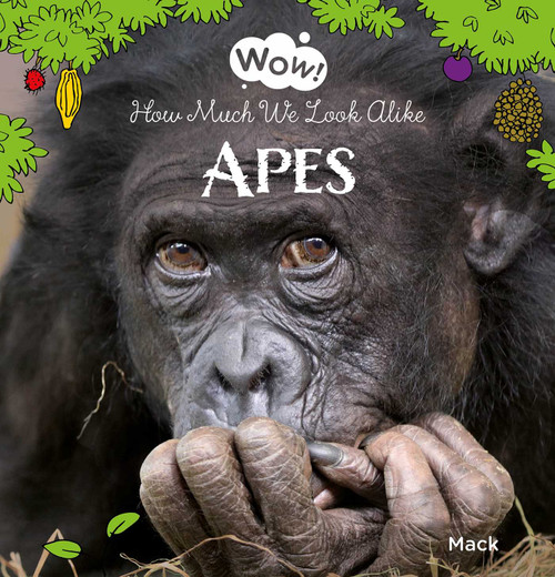 Apes (How Much We Look Alike) by Mack van Gageldonk, Mack van Gageldonk, 9781605379609