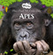 Apes (How Much We Look Alike) by Mack van Gageldonk, Mack van Gageldonk, 9781605379609