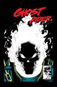 Ghost Rider: Danny Ketch Epic Collection: Bad To The Bone by Howard Mackie, Mark Texeira, Ron Wagner, John Romita Jr., 9781302969486