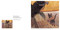 100 Cats in Art (Feline Masterpieces from the Ancient World to the Modern Era) by Gloria Fossi, 9781454969051