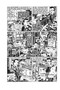 My New York Diary by Julie Doucet, 9781770469143