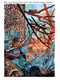 The Jellyfish King: Book 1 by Brecht Evens, François Vigneault, 9781770469020