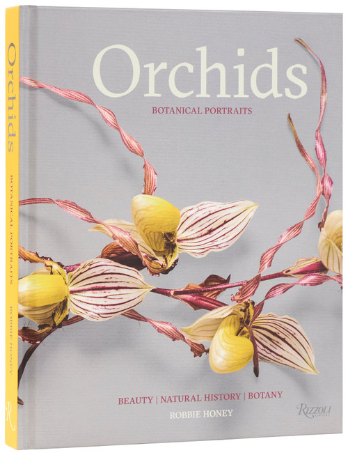 Orchids: Botanical Portraits (Beauty, Natural History, Botany) by Robbie Honey, Shane Connolly, 9780847877386