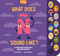 What Does Ñ Sound Like? (A Spanish-English Vocabulary and Sound Book for Kids 2-5) by Mike Alfaro, Gerardo Guillén, 9781963183870