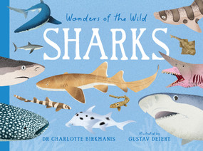 Wonders of the Wild: Sharks by Dr. Charlotte Birkmanis, Gustav Dejert, 9781923503281