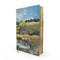 Sense and Sensibility: Deluxe Painted Edition by Jane Austen, Laci Fowler, 9781400356607