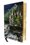 Dracula: Deluxe Painted Edition by Bram Stoker, Laci Fowler, 9781400356669