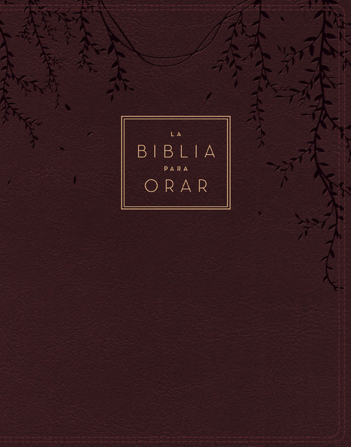 RVR60, La Biblia para orar, Leathersoft, Rojo vino, Palabras de Jesús en rojo, Comfort Print (Spanish Edition) by RVR 1960- Reina Valera 1960, 9780829775976
