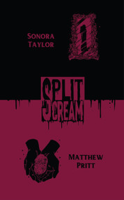 Split Scream: Cursed Places by Alex Ebenstein, Echo Echo, Matthew Pritt, Sonora Taylor, 9781959790617
